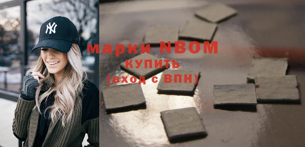 шишки Богородск