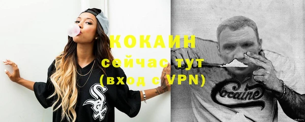 дживик Богородицк