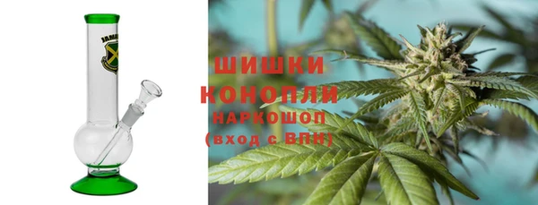 шишки Богородск
