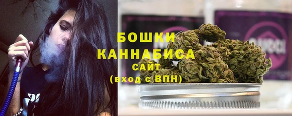 дживик Богородицк